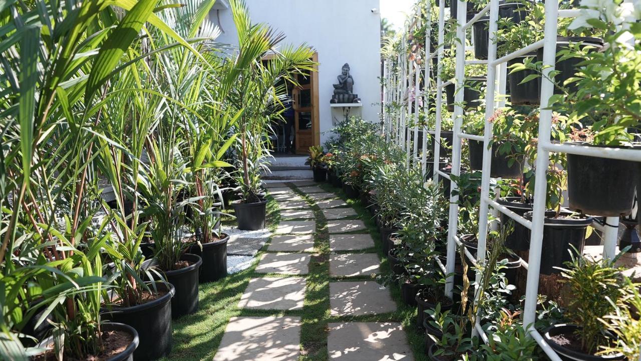 Whiteflower Resort Morjim Bagian luar foto