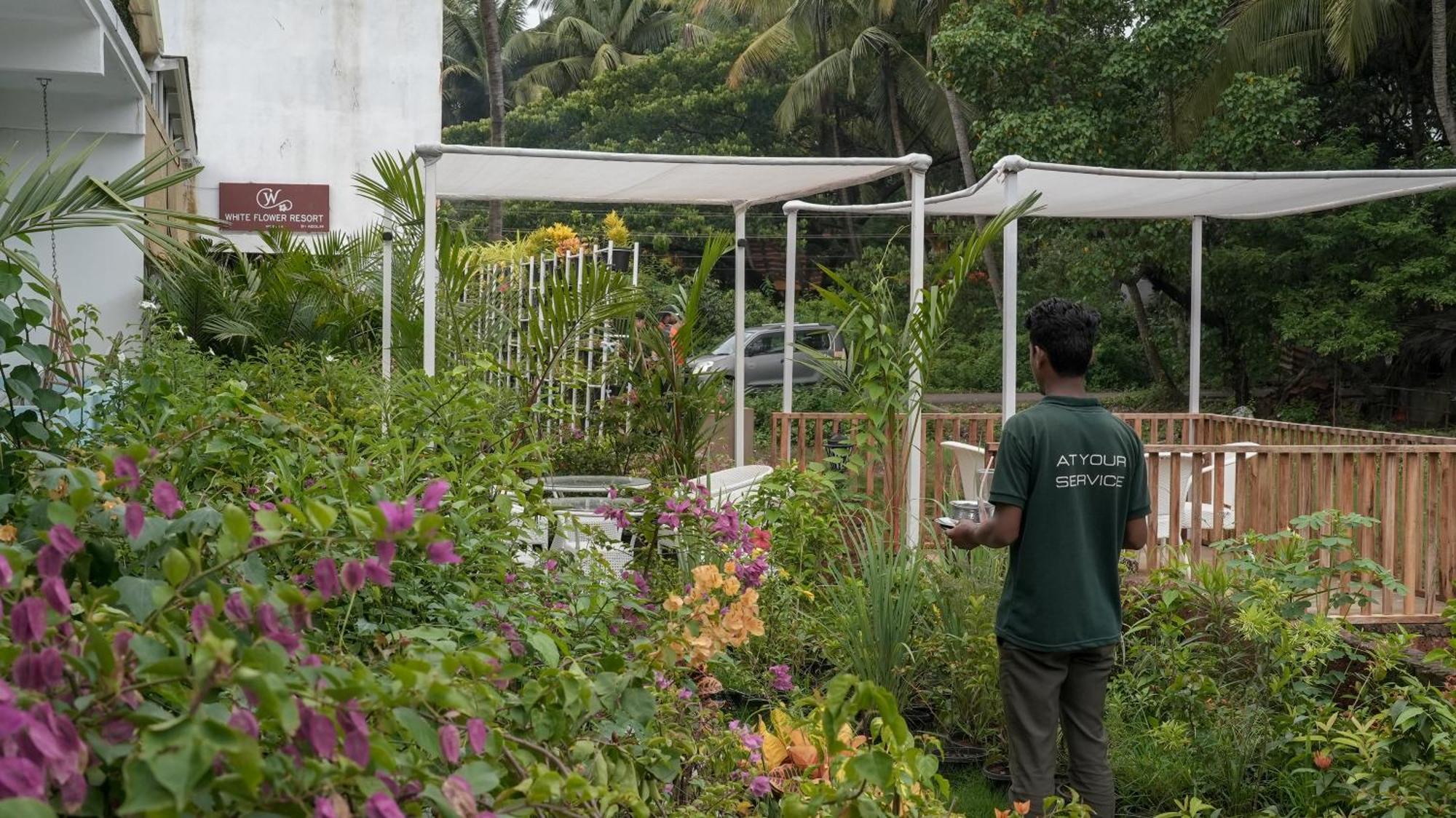 Whiteflower Resort Morjim Bagian luar foto